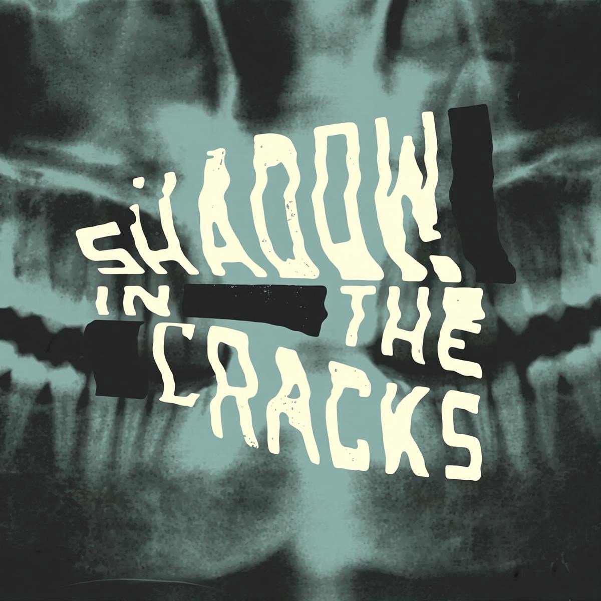 Shadow In The Cracks - Shadow In The Cracks (LP)