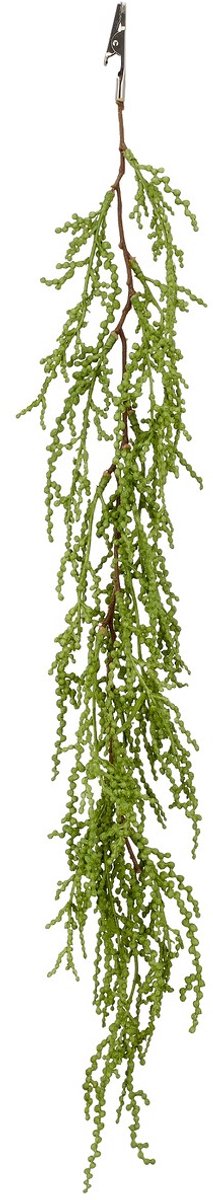 Gasper vetplant rankje groen met krokodillenklem 57 cm