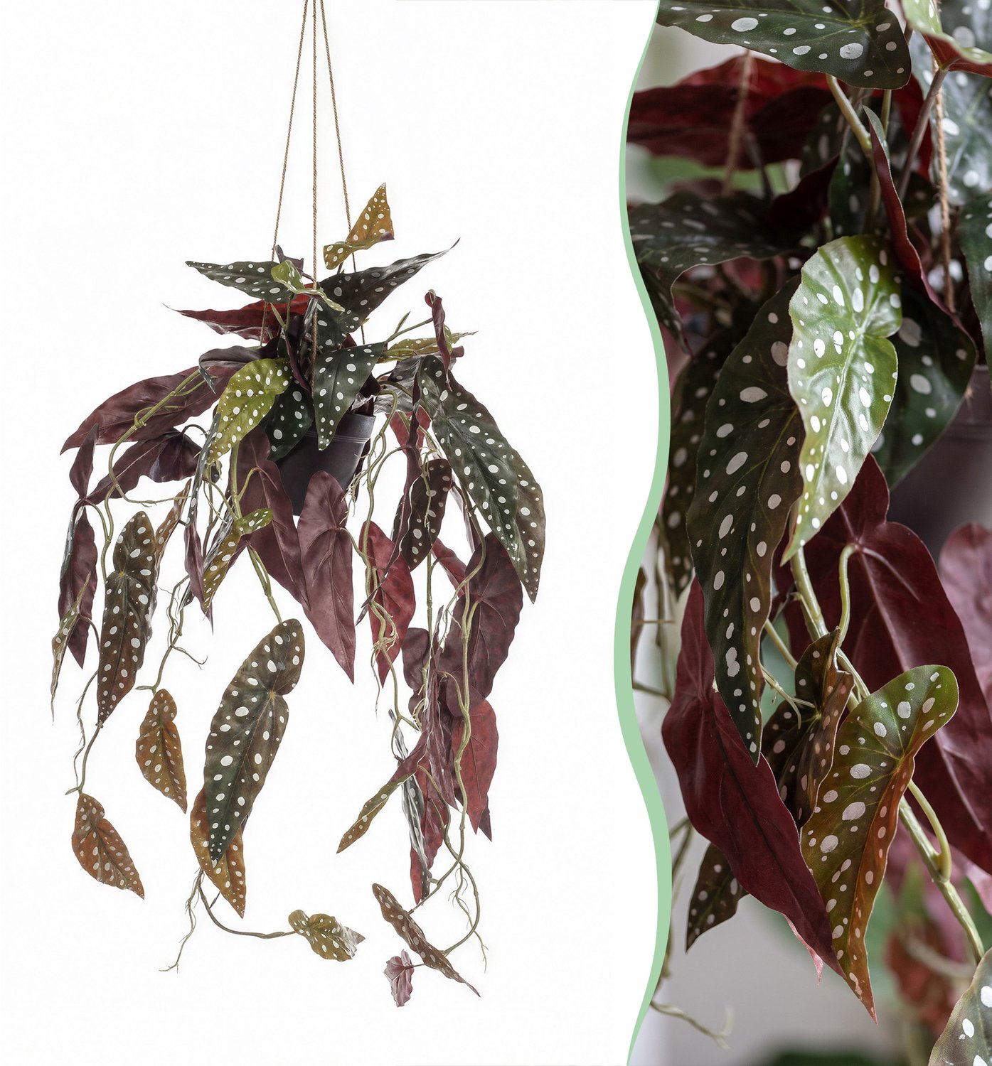 Green Harmony Plants Kunstplant - Begonia Maculata - Stippenbegonia - 80 cm Groen