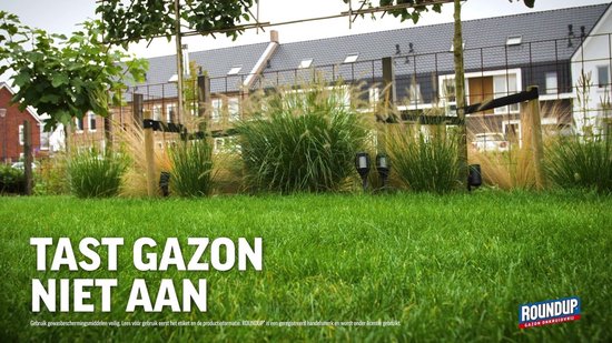 Roundup Onkruidvrij - bestrijdingsmiddel - Onkruid In Gazon - 1 kg Voor 50 m2 - Gazon Bemesten - Voordeelverpakking - Tegen Klaver, Paardenbloemen, Madeliefjes — afbeelding 5