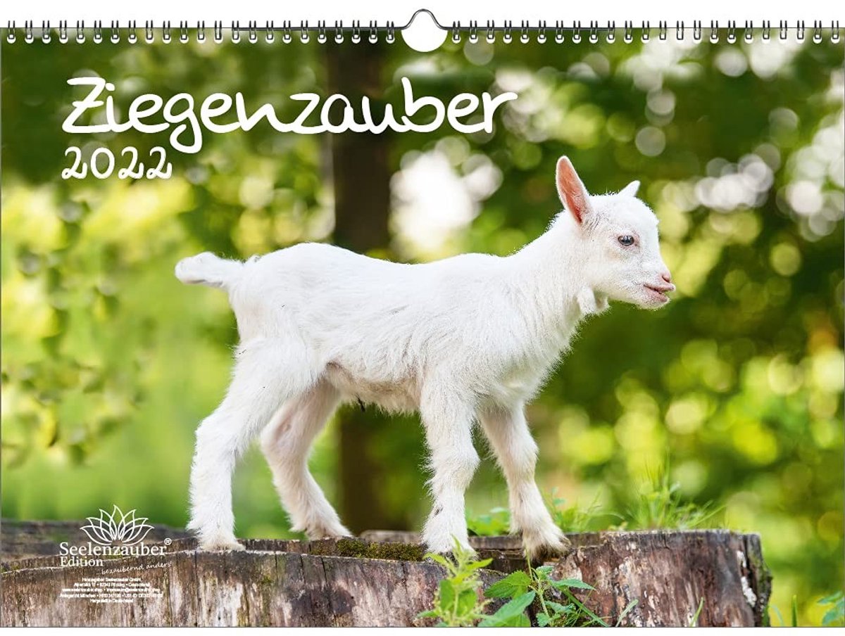 Elzusha - Fotokalender A3 met geitenmotieven - Seelenzauber