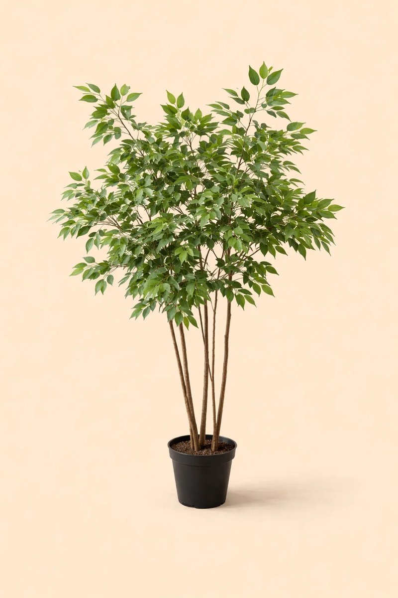 plantenkopen.online Onlineplantenkopen - Kunstplant Ficus Benjamina - Ficus Benjamina - Kunstplanten voor binnen - Onderhoudsvrij - Nep plant - 128 cm hoog - Kunstplanten Groen