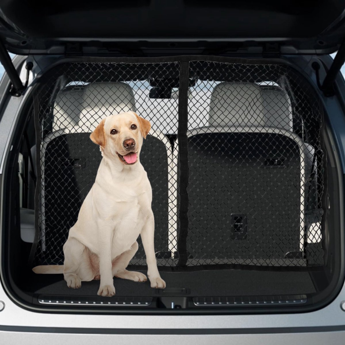 Afscheidingsnet voor honden - Elastisch dubbellaags van polypropyleen met 4 haken - voor de kofferbak - 120x120cm