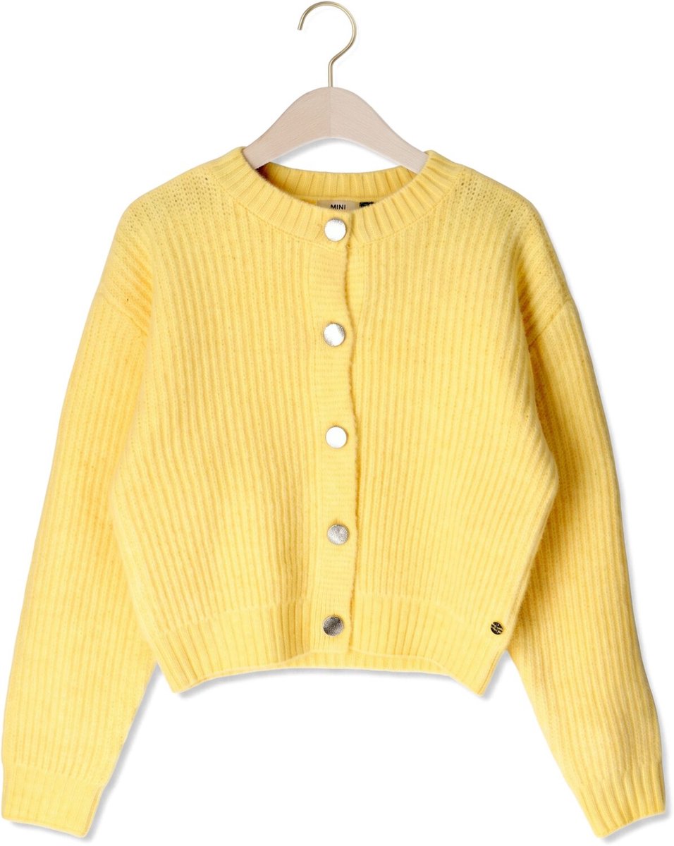 Retour Berline Truien & Vesten Meisjes - Sweater - Hoodie - Vest- Geel - Maat 146/152
