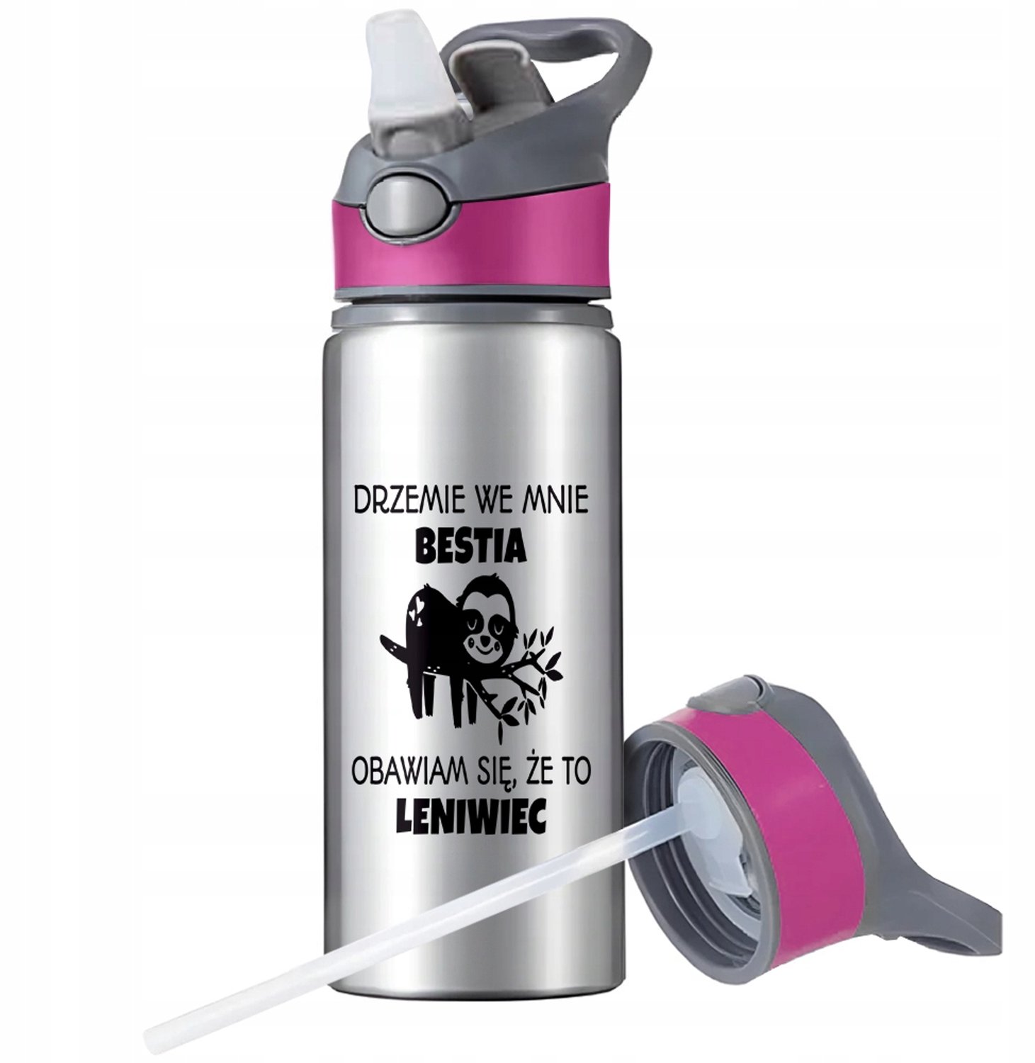 Aluminium Sport Bidon 650ml met Rietje en Handvat - Zilver