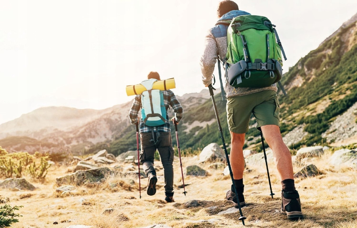 2x Opvouwbare Trekkingstokken Nordic Walking - Verstelbaar & Anti-Shock