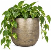 Floran Bloempot Mira - goudkleurig - keramiek - 35 cm - plantenpot