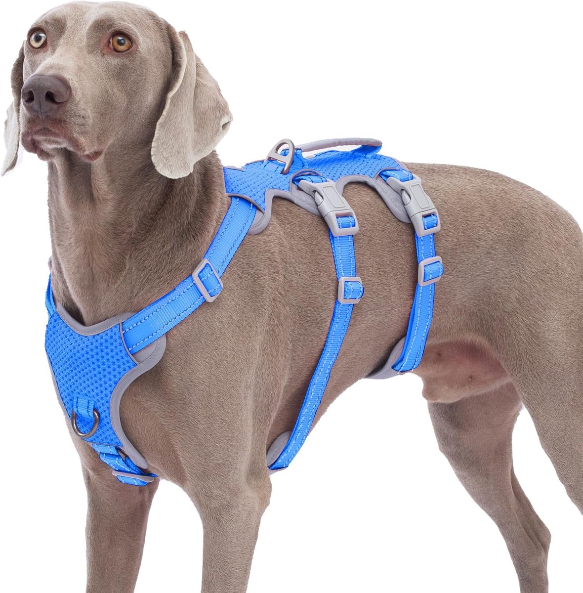 Escape Proof Harness, Geen Slip Hondenharnas Escape Proof, Volledig Reflecterend Harnas met Handvat, Verstelbaar Vest voor Middelgrote Honden Wandelen, Running Gear (Zeeblauw,XL)
