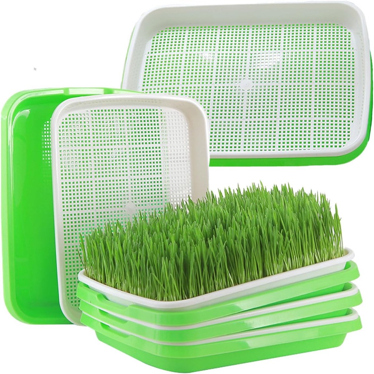 Kiemschalen set van 5 stuks voor het kweken van mungbonen, alfalfa en tarwegras, herbruikbare zaadvermeerderaars (32,5 x 23,5 cm)