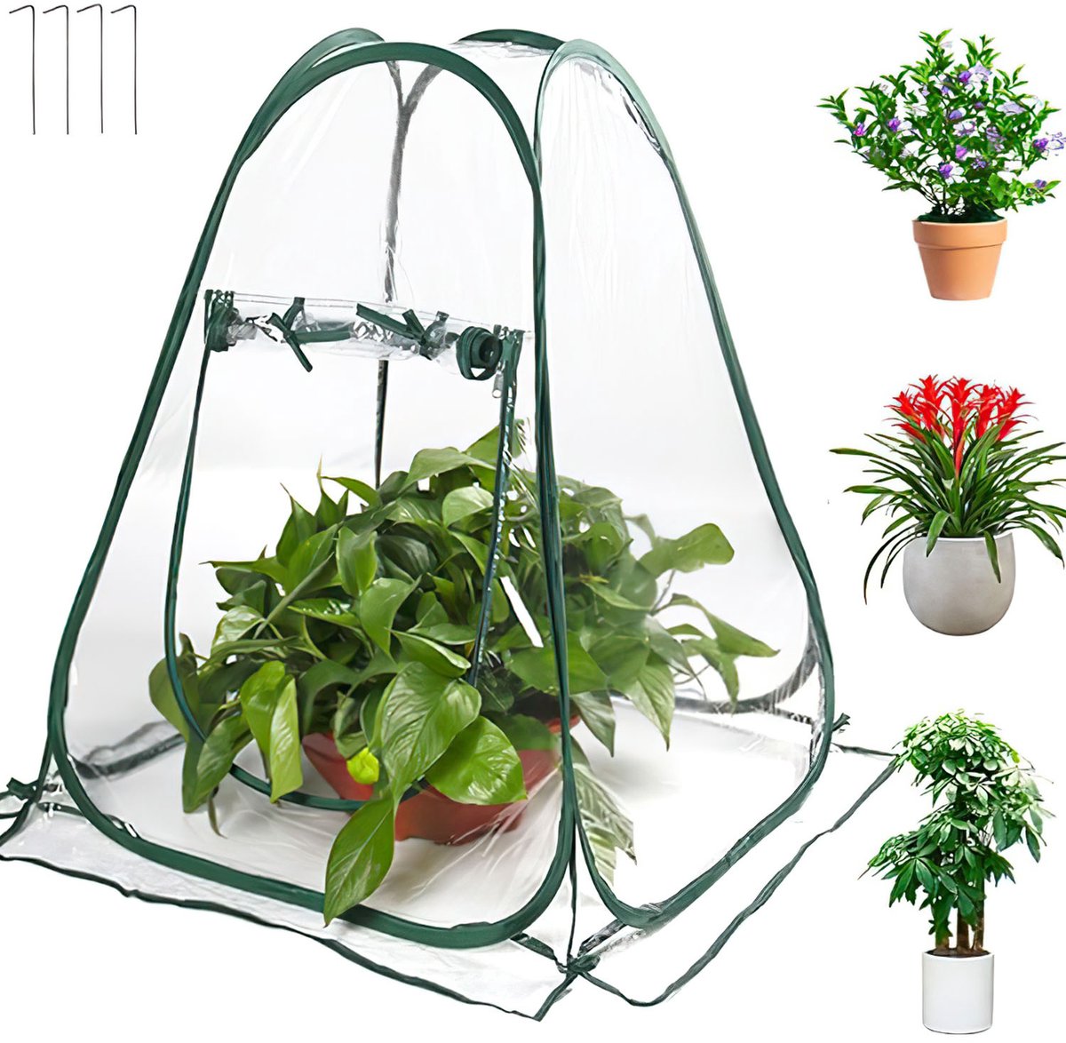 Mini Plantenkas - Plantenbeschermhoes voor Balkon en Tuin - Waterdichte PVC Plantenhoes met 4 Grondpennen - voor Zaailingen Bloemen en Groenten - 70x70x80cm