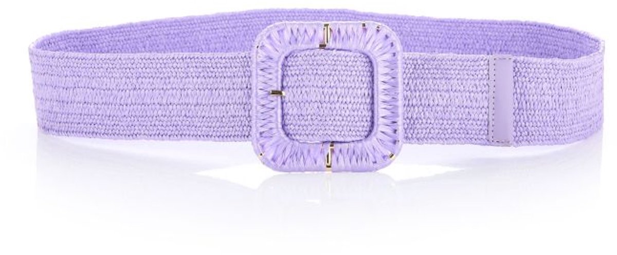 Zomer riem- Paars