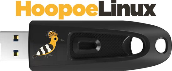 Windows Stick Computer Vervang Windows 11 met Hoopoelinux Custom Usb Automatische installatie ...