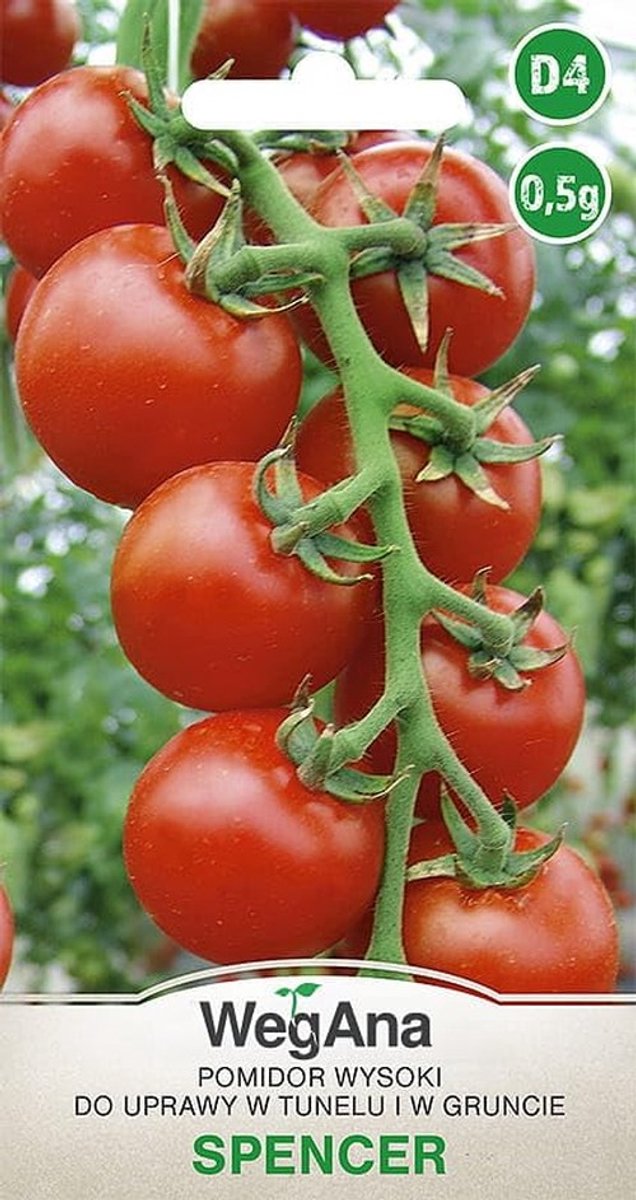 Tomaat Spencer Zaden - Lange Tomatenvariëteit - 0.5 g
