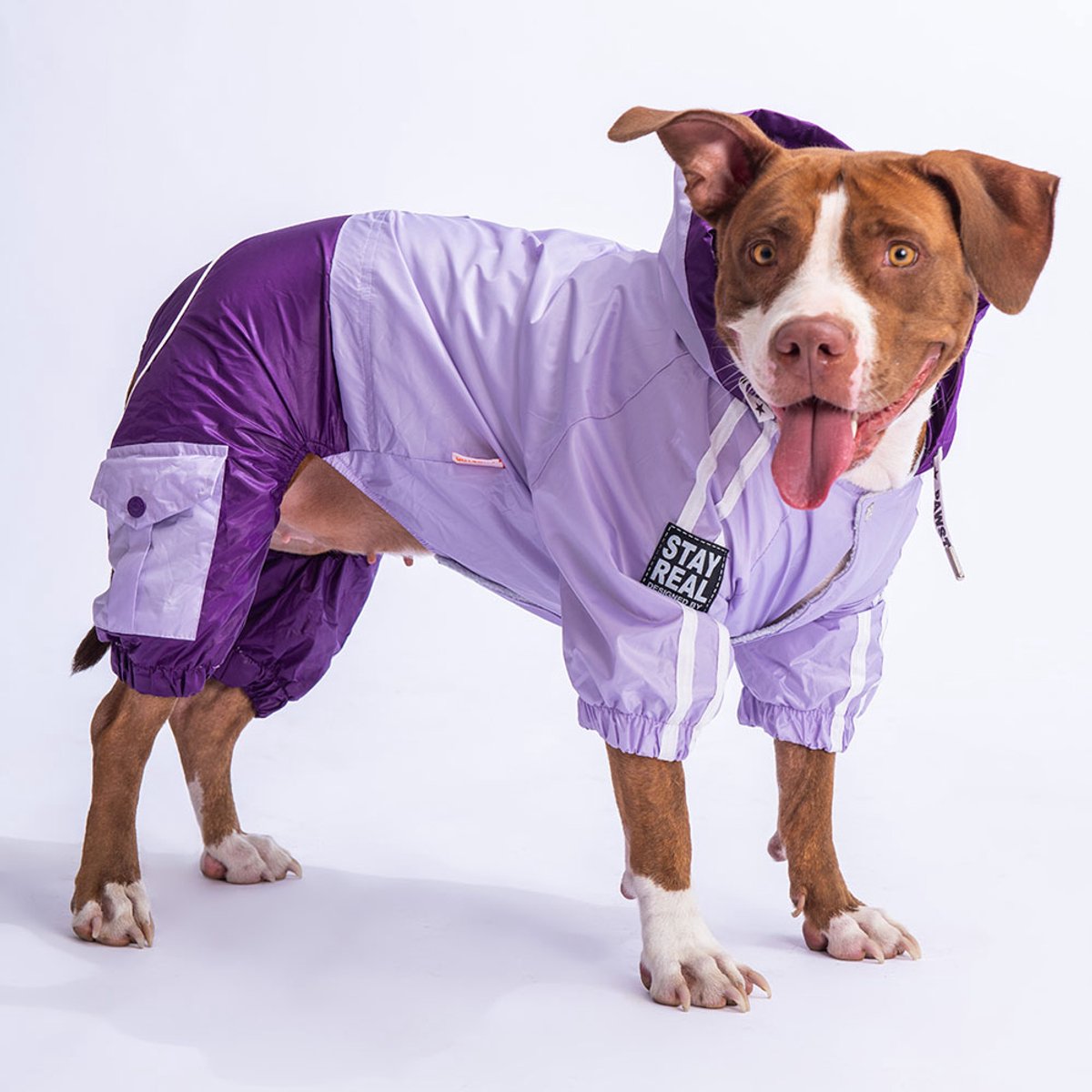 Pawstar BiColor Big - Hondenoverall - Lila/Paars - 6XL
