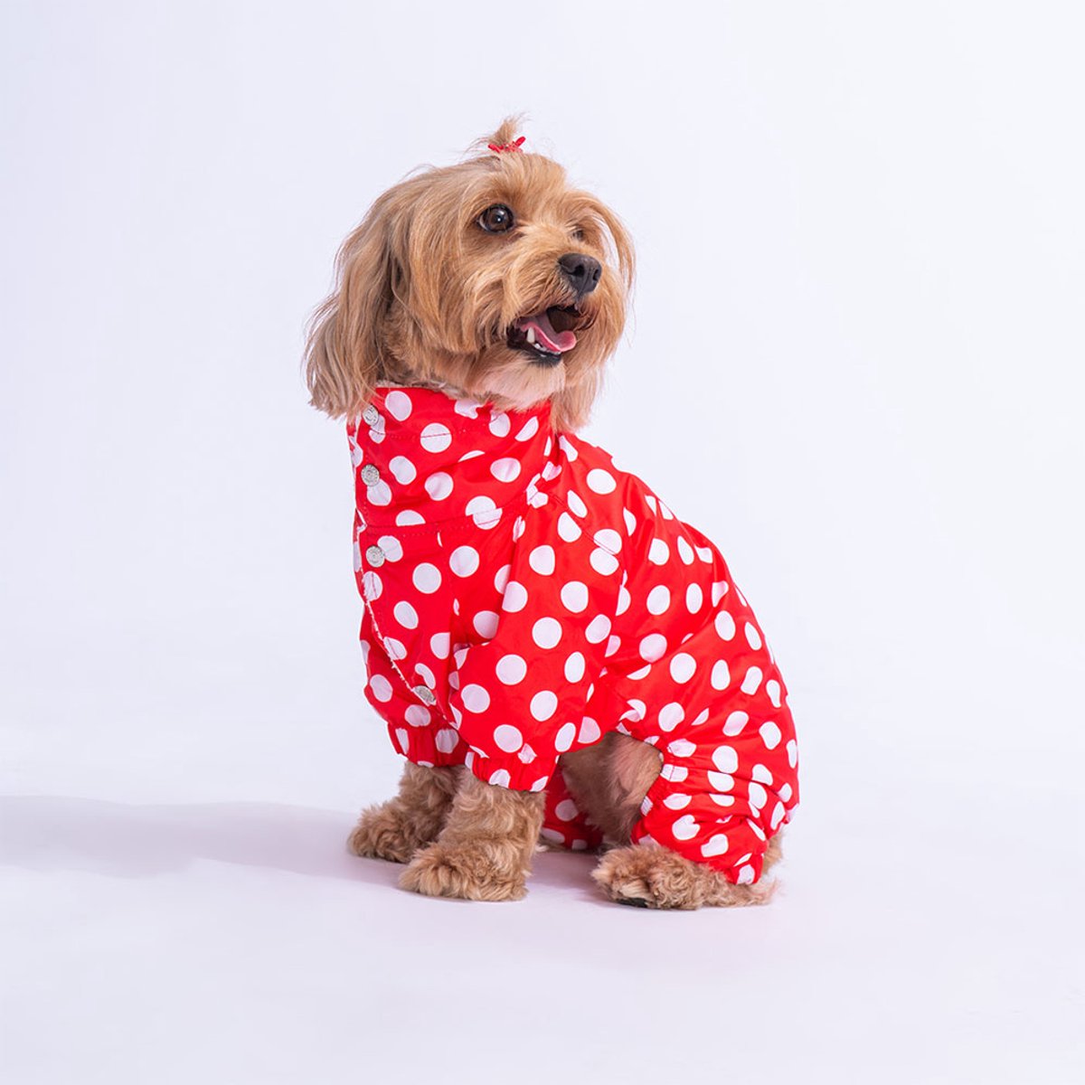 Pawstar Dots - Hondenoverall - Rood - XL