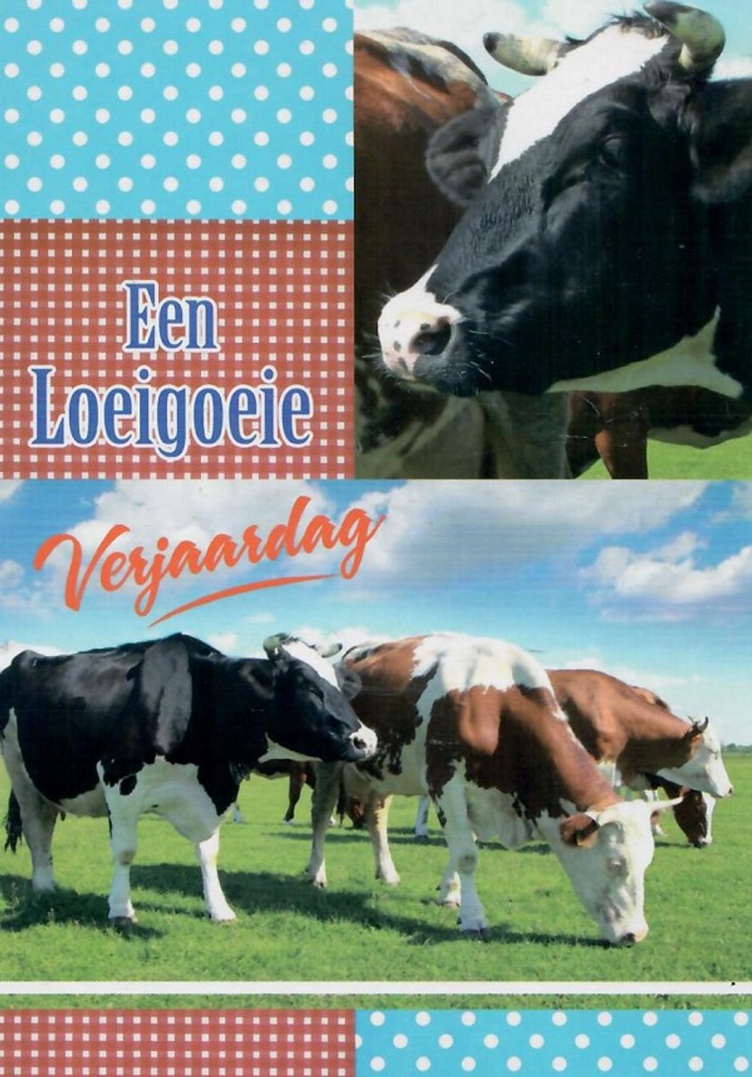 Een loeigoeie verjaardag! Gefeliciteerd! Voor mensen die van koeien houden of op de boerderij werken! Diverse afbeeldingen van koeien. Leuk om zo te geven of om bij een cadeau te voegen. Een dubbele wenskaart inclusief envelop en in folie verpakt.