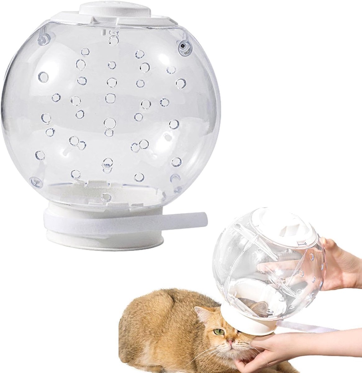 Ademende kattensnuit Wissen