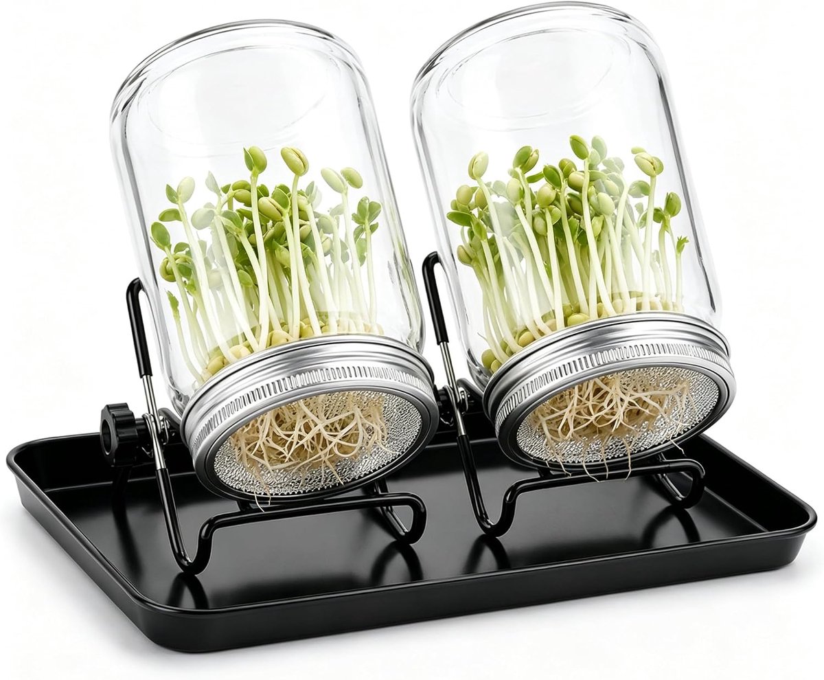 Sprossen kiemglas, set van 2, complete set met 2 x 1000 ml glazen, voor het kweken en kiemen van zaden - ShopVlot