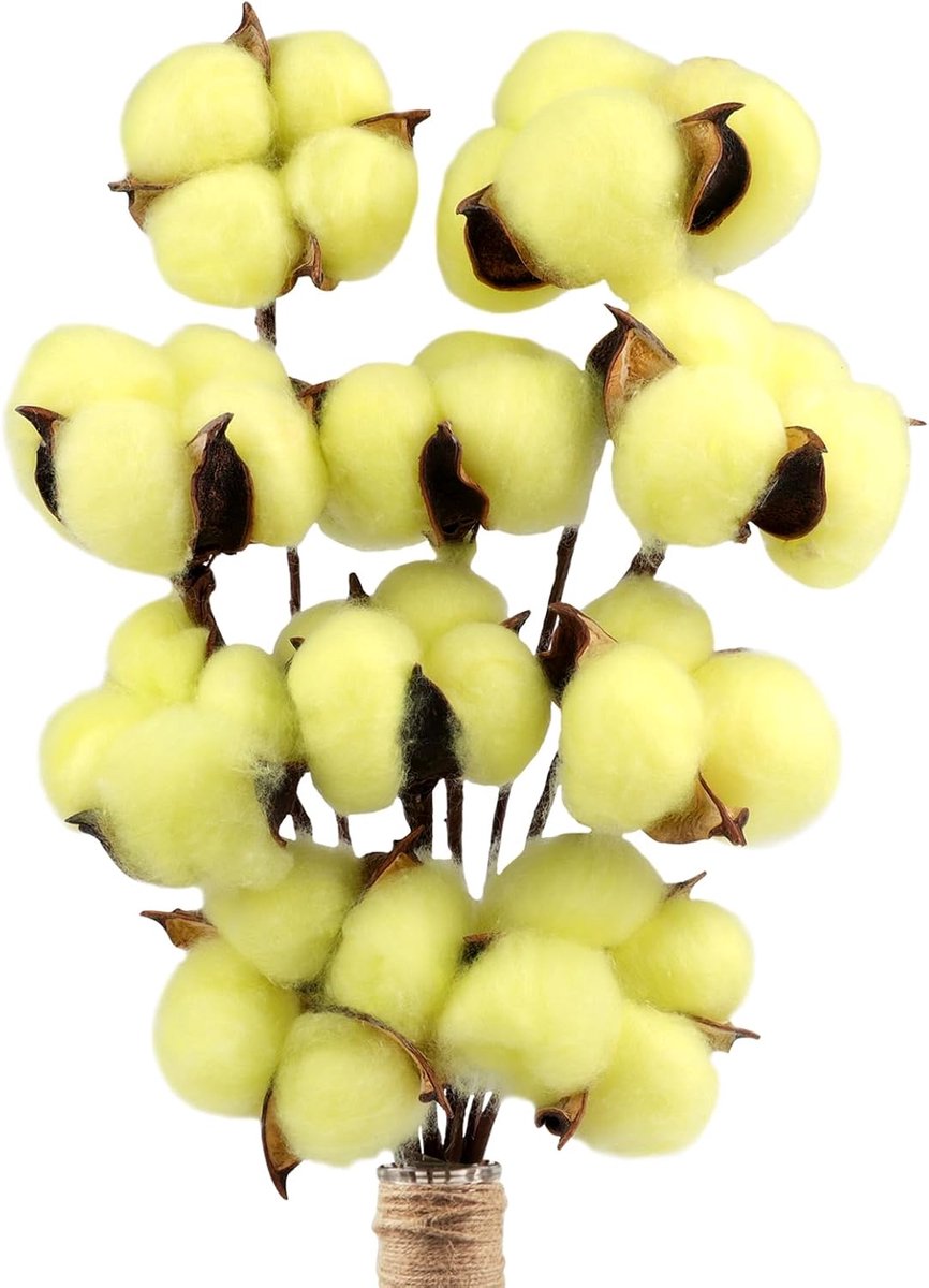 10 Pieces Bouquet, Cotton Flowers, Dried Flowers, Natural Cotton, Artificial Branches, Cotton, for Album Wedding - ShopVlot