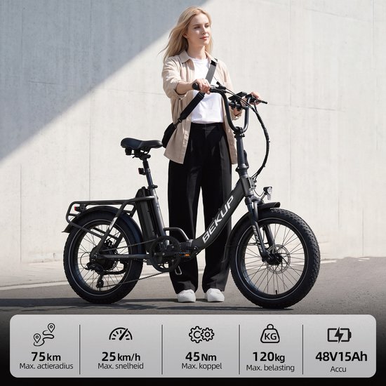 Elektrische Fiets Bekup S3 - 20" Banden - 48V15Ah Accu - 250W -Actieradius Tot 75 Km - Shimano 7 Versnellingen - Mechanische Schijfremmen - Grijs — afbeelding 3