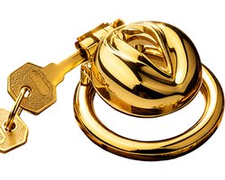 Adultshop - Mini Peniskooi de Gouden Poes - Pussy Kuisheidskooi Incl. Sleutel - opgesloten opwinding