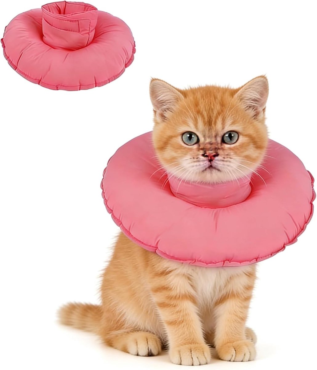 Cat Cone Collar - ShopVlot
