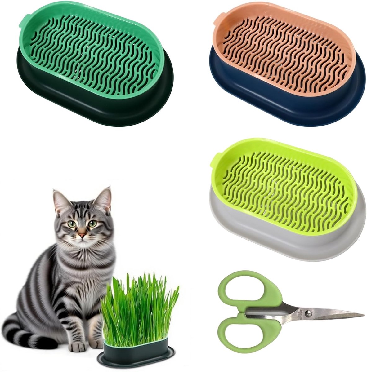 Schalen voor kattengras schaal hydrocultuur gras dienblad kamerkatten voor het planten van kattengras box
