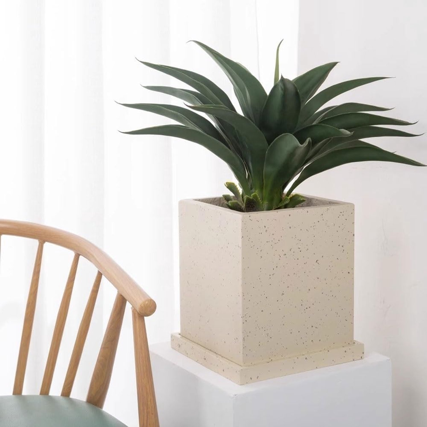 XXL zwarte plantenschotel - grote synthetische hars afvoerbak voor binnen en buiten bloempotten perfect voor Jardinières en plantenbakken en stijlvol