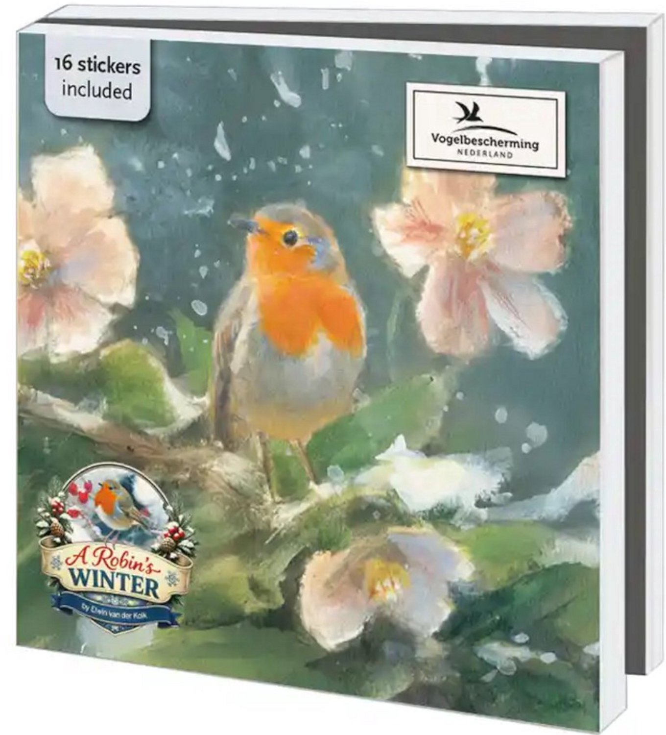 Kerstkaarten 10x - Kaartenmapje met env, vierkant: A Robins Winter, Elwin van der Kolk, Vogelbescherming - 2x5 motieven