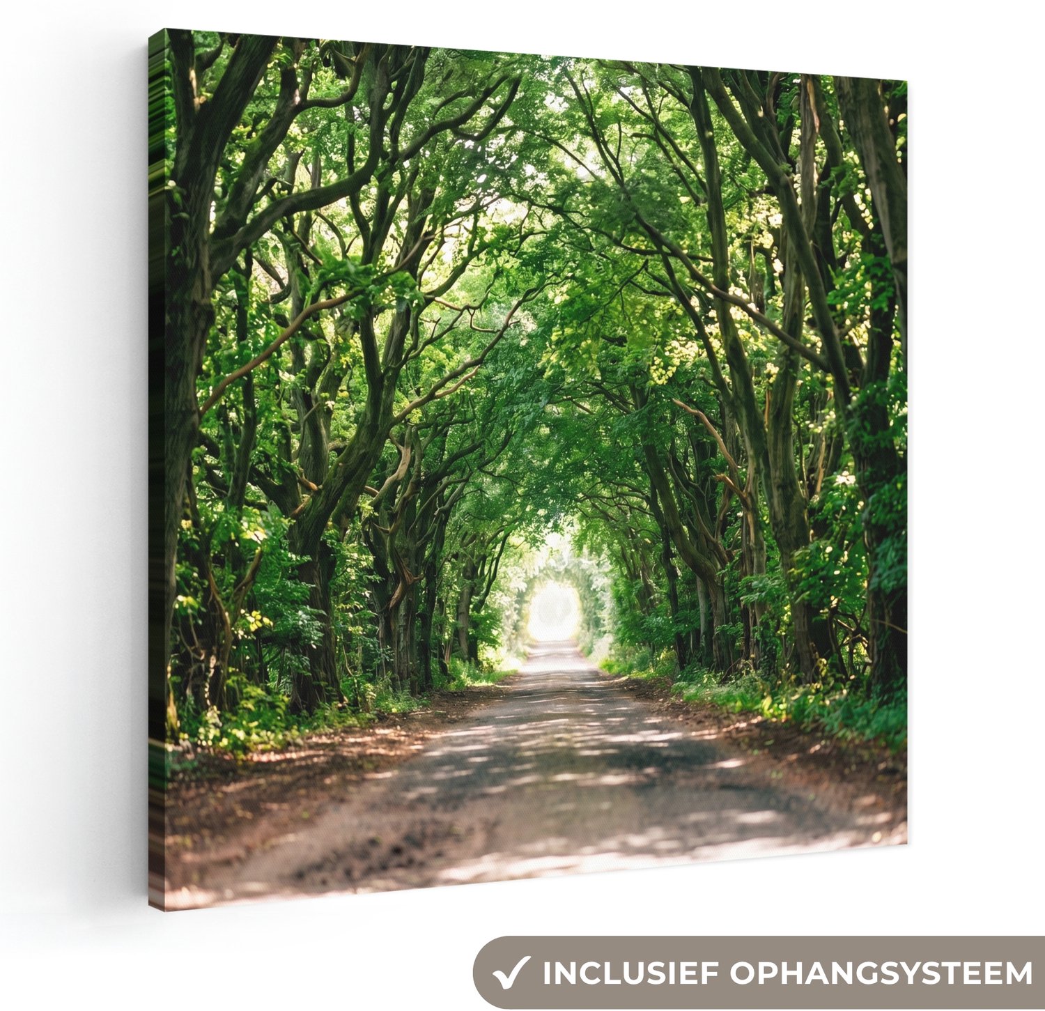 Canvas schilderij 50x50 cm - Exclusieve wanddecoratie Weg - Bomen - Natuur - Groen - Muurdecoratie woonkamer - Slaapkamer decoratie - Kamer accessoires - Schilderijen op canvas