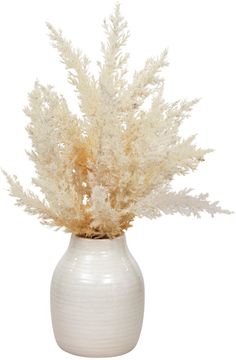 Atmosphera Vaas met Kunsttakken - Ø20xH36cm - Wit
