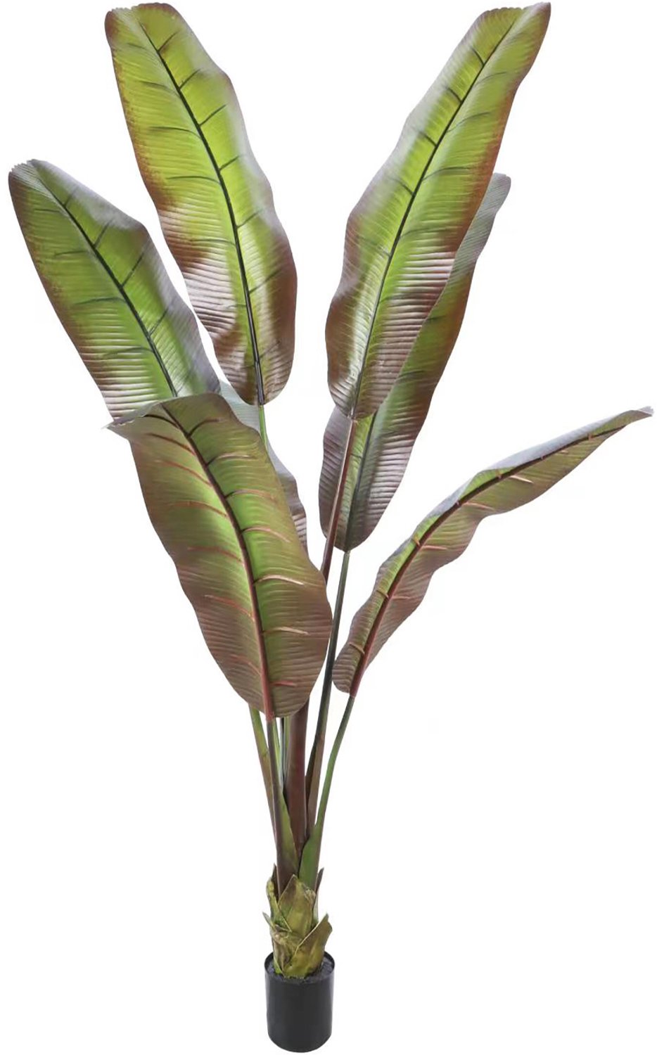 homebound by ky Kunstplant Japanse bananenboom 190cm | kunstplant | 190x190x190cm Groen