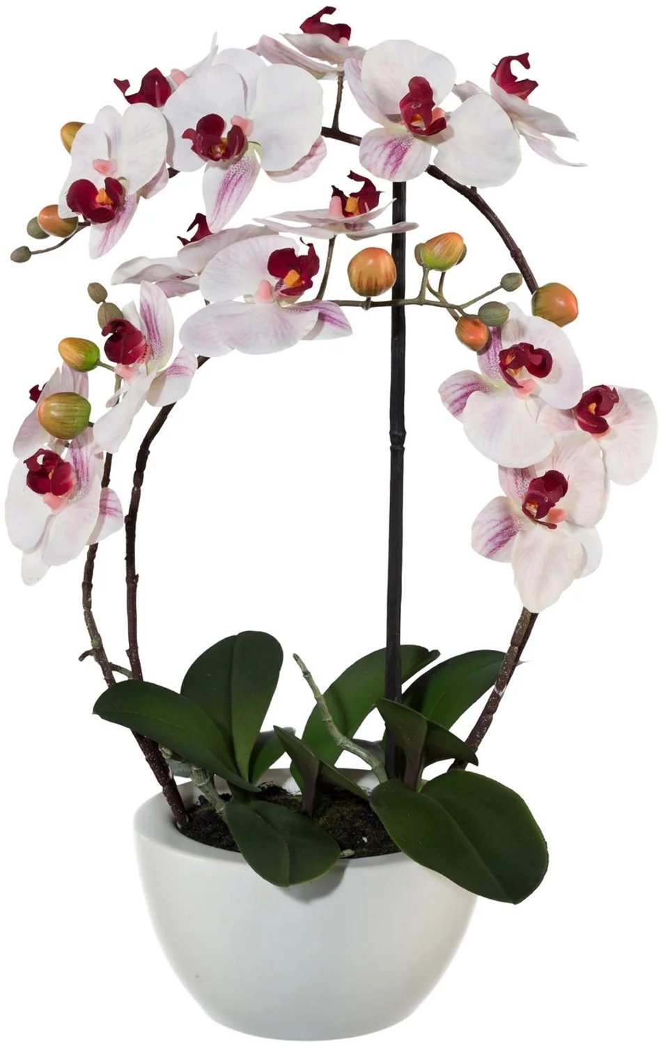 KOPU® Kunstorchidee 52 cm - Roze - Witte keramische pot - Phalaenopsis