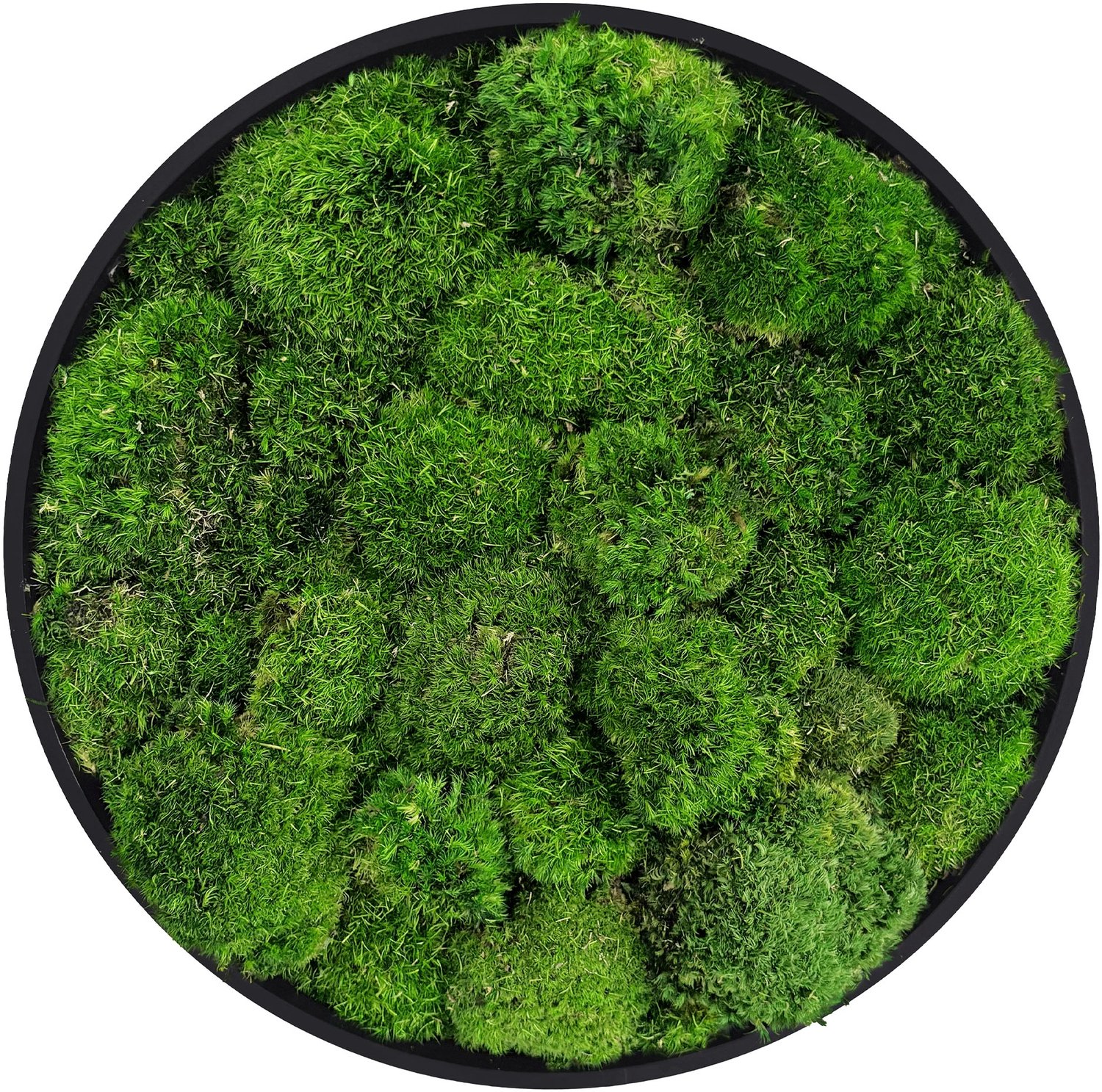 ECD Germany Mosschilderij geconserveerd bolmos rond Ø 40 cm interieur wanddecoratie van natuurlijk 3D mos en houten frame, onderhoudsvrij, decoratieve kunst voor huis en kantoor