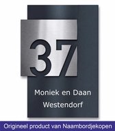 zwart naambordje voordeur met rvs look bovenbord huisnummer 14x20cm