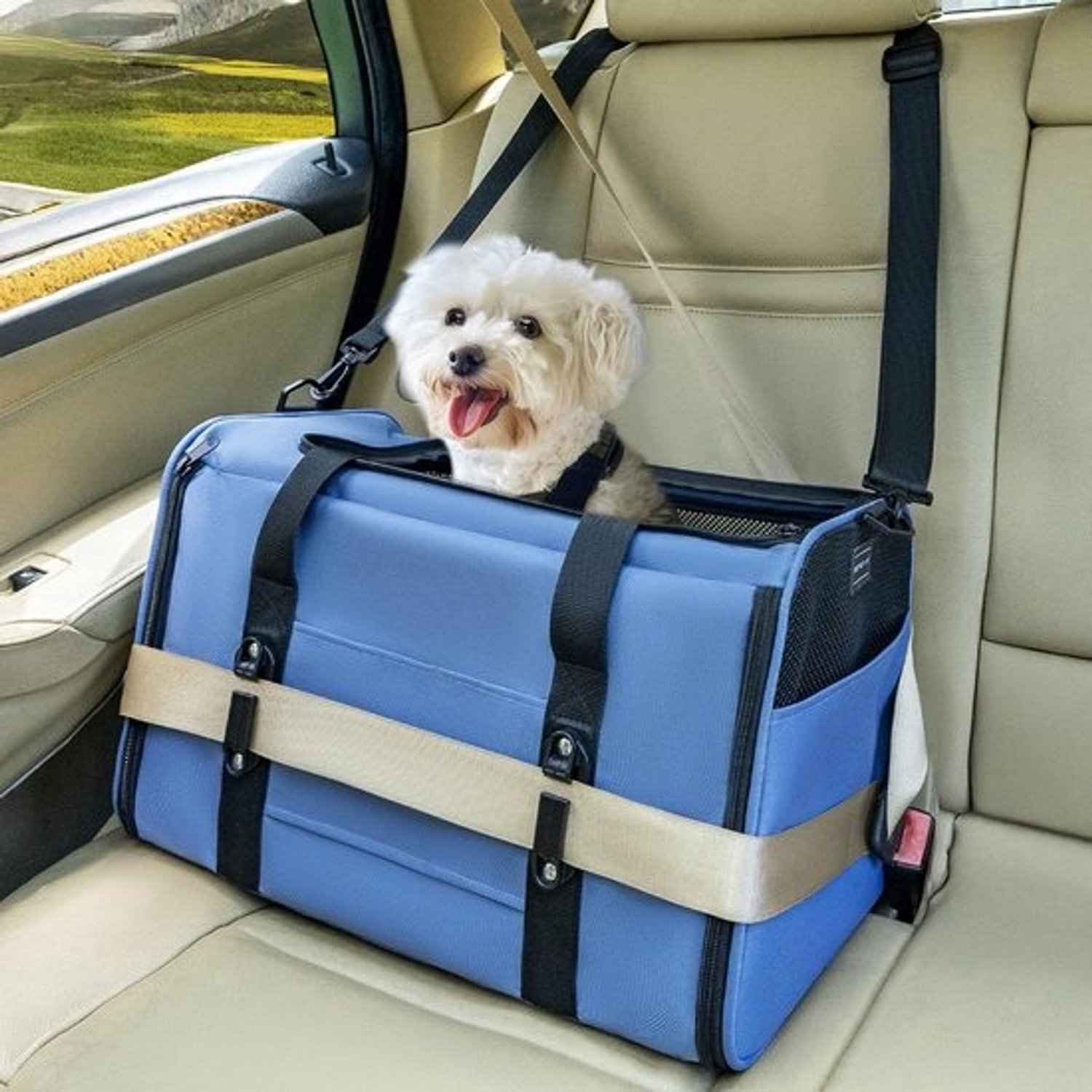 Reisbox voor Dieren - Kattenmand - Veilig Vervoer - Gepatenteerde Autobevestiging - 48 x 305 x 305 cm - Blauw