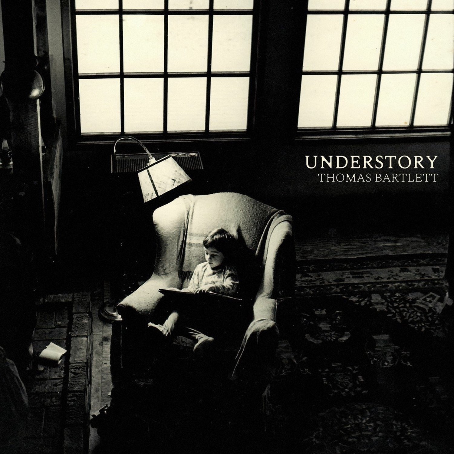 Thomas Bartlett - Understory (CD)