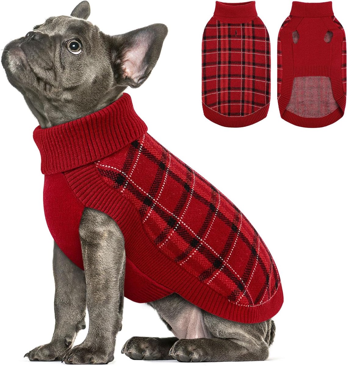 Hondentrui kleine honden hondentrui Kerstmis opstaande kraag
