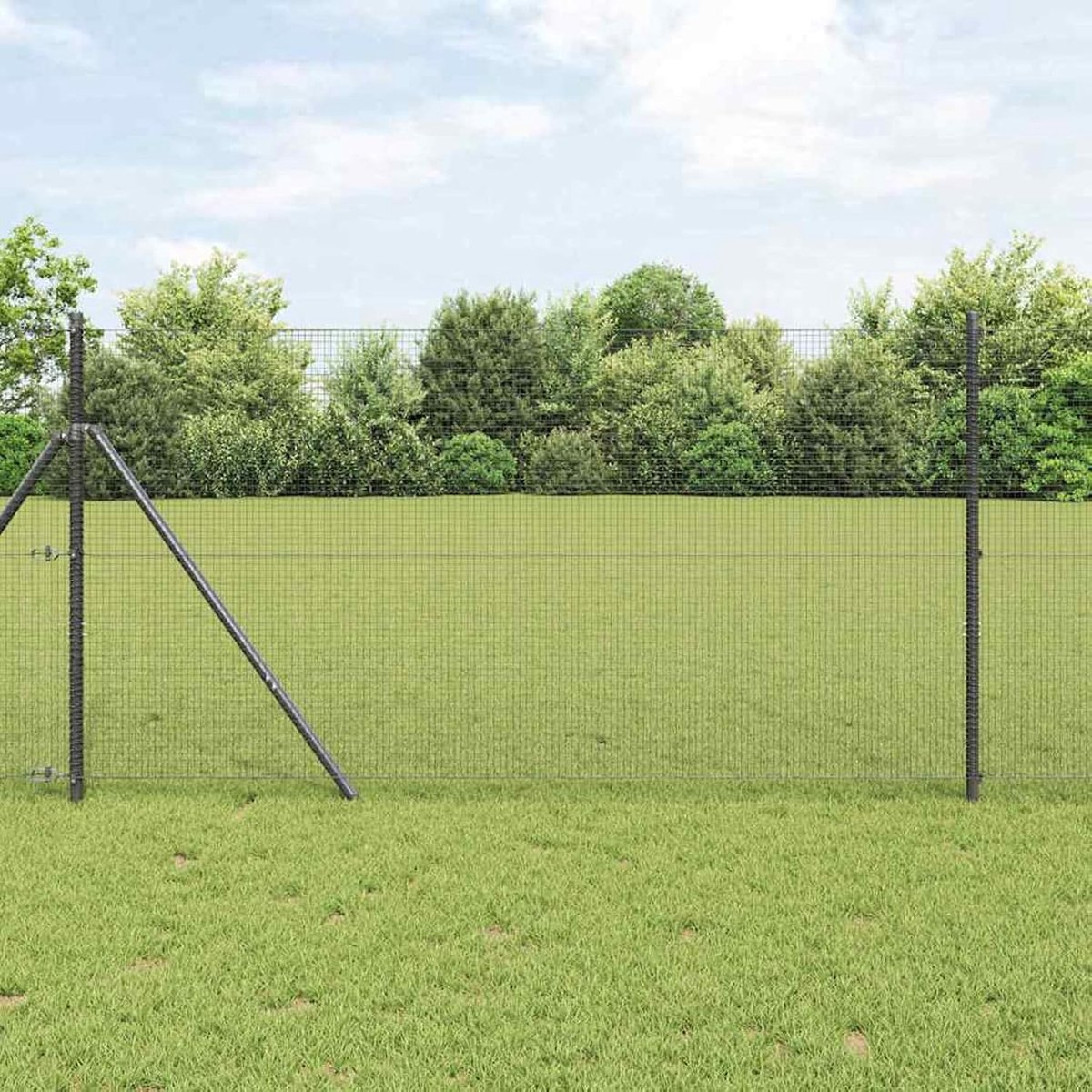 Lasdraadhek, grijs, 1,2 x 50 m, staal, hekstangen, gaashek, draadhek, tuinhek voor binnenplaats, kippenhok, wilgenhek, 42005254