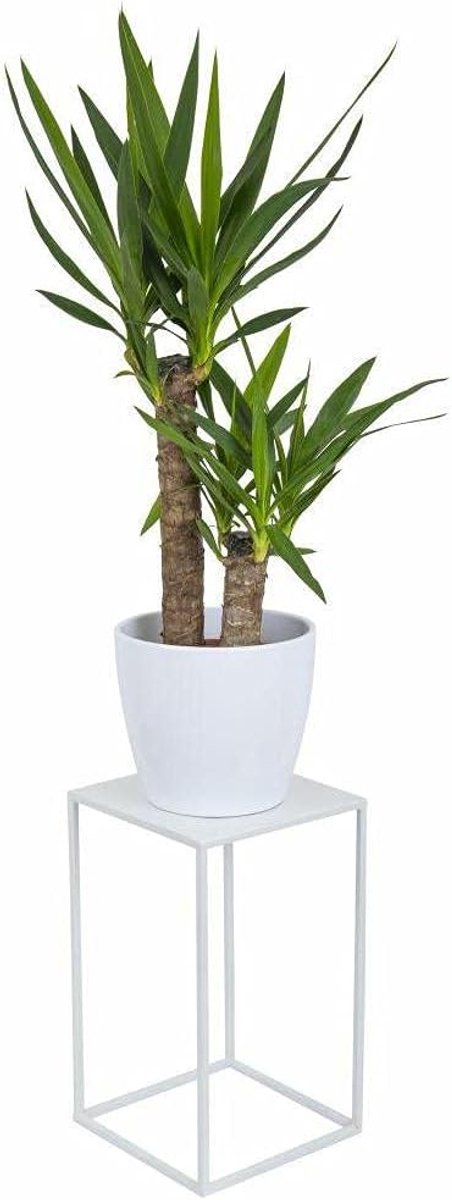 Metalen plantenstandaard bloemenstandaard plantenstandaard 40 cm wit