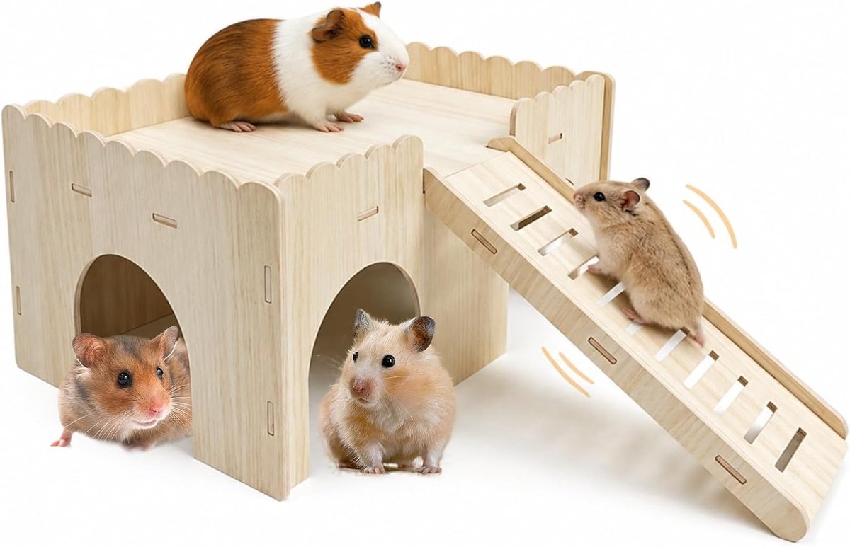 Cavia-accessoires Met Trap Caviahuis Met 4 Ingangen Voor Kleine Huisdieren Gerbils Degoes Dwerghamsters En Stekelmuizen