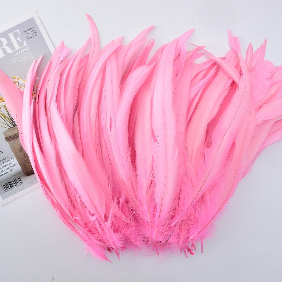 Veren, 25-30 cm, verpakking met 50 stuks, meerkleurig, gedempt voor carnaval, Halloween, bruiloft en dromenvanger, handgemaakt, wit, roze