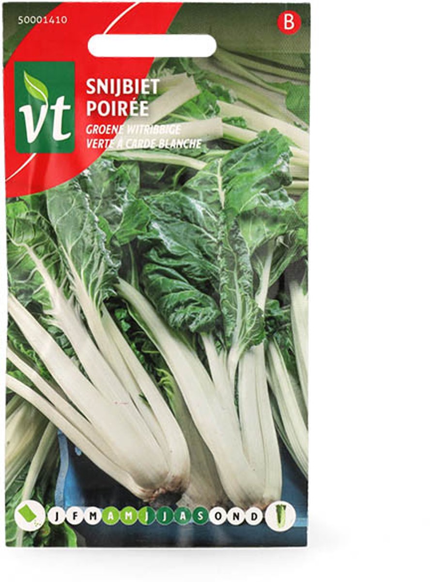 Snijbiet groene witribbige - verte à carde blanche