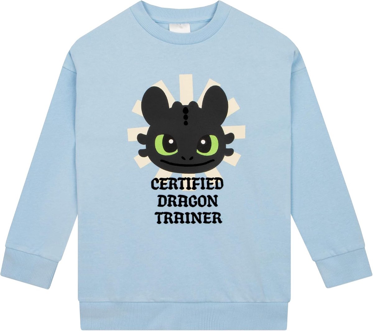 To Train Your Dragon Meisjes Sweater, Toothless Trui, Kinder Sweater Voor De Lente, Katoenen Trui Met Lange Mouwen