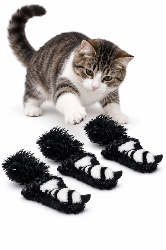 Kitten met witte pootjes reikt naar drie zwarte en witte speelgoedoezels op witte achtergrond.