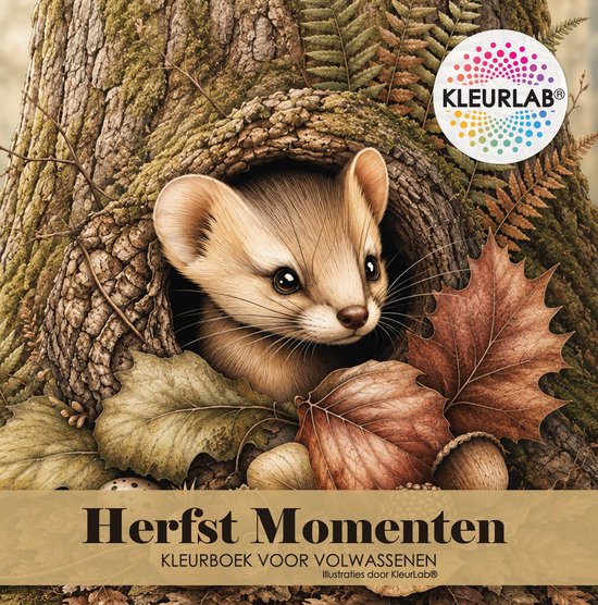 Bruin dier kijkt uit een hol in een boomstronk, omringd door herfstbladeren. Titel: Herfst Momenten.