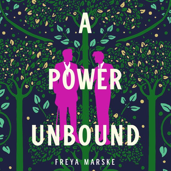 Boek 'A POWER UNBOUND' met twee roze silhouetten van mannen tegen een donkerblauwe achtergrond met bomen en bladeren.