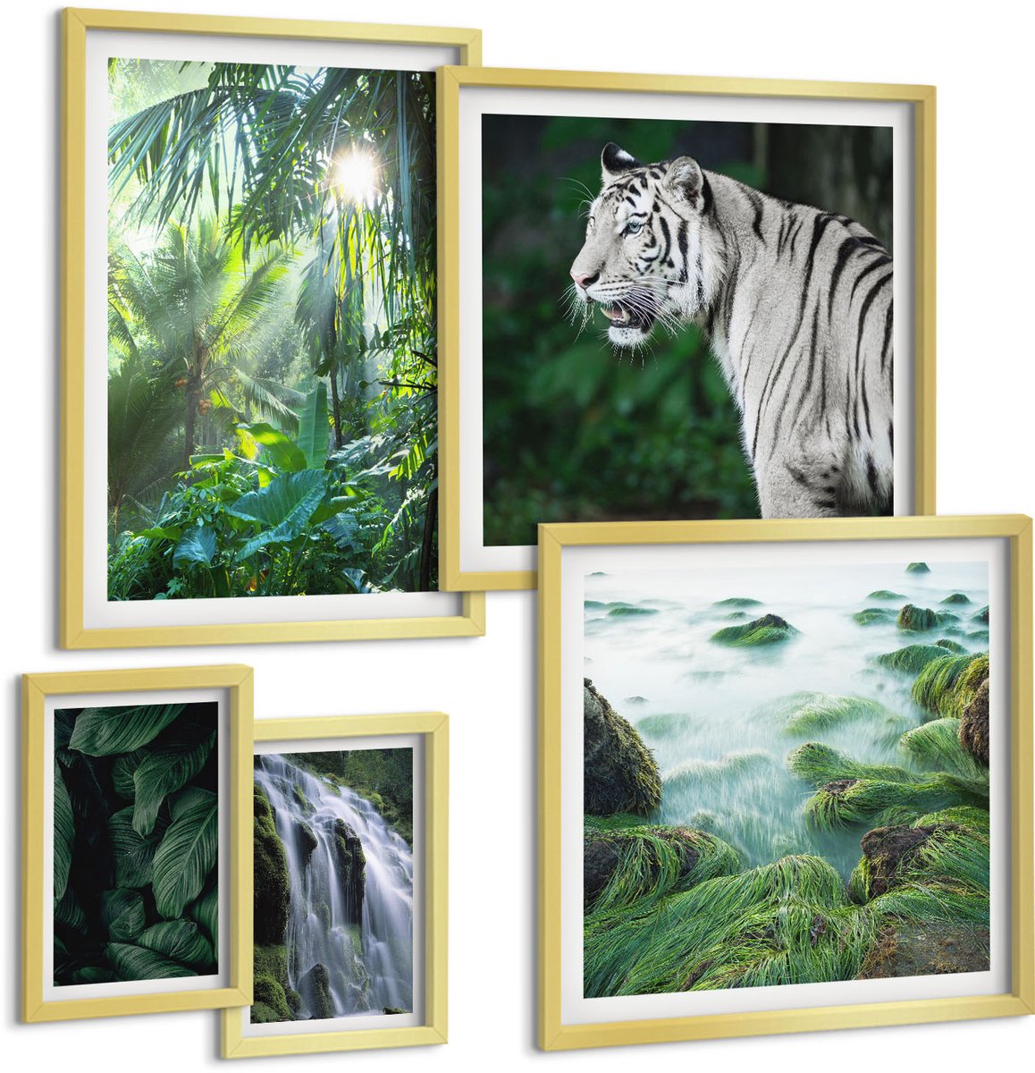 Coloray 5-Delige Schilderij Set - Tropische Natuur Met Wilde Dieren En Watervallen - 50 x 50 cm, 20 x 30 cm En 40 x 60 cm - Decoratieve Muurdecoratie - Slaapkamer - Interieur Decoratie