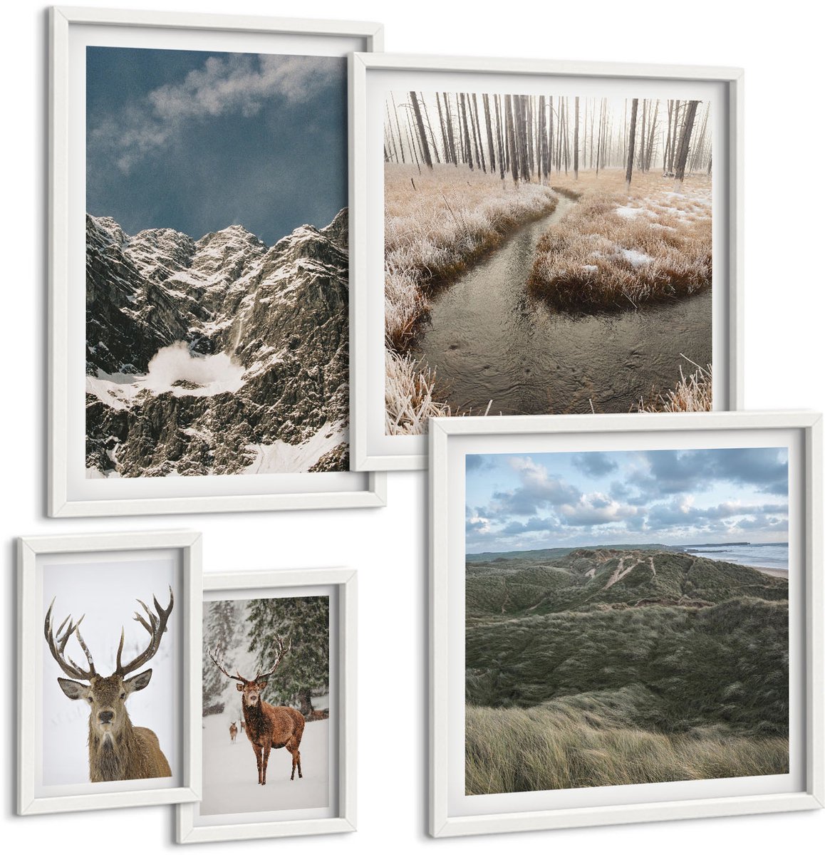 Coloray 5-Delige Schilderij Set - Wilde Natuur En Majestueuze Berglandschappen - 50 x 50 cm, 20 x 30 cm En 40 x 60 cm - Moderne Wanddecoratie - Woonkamer - Interieur Decoratie Witte lijst
