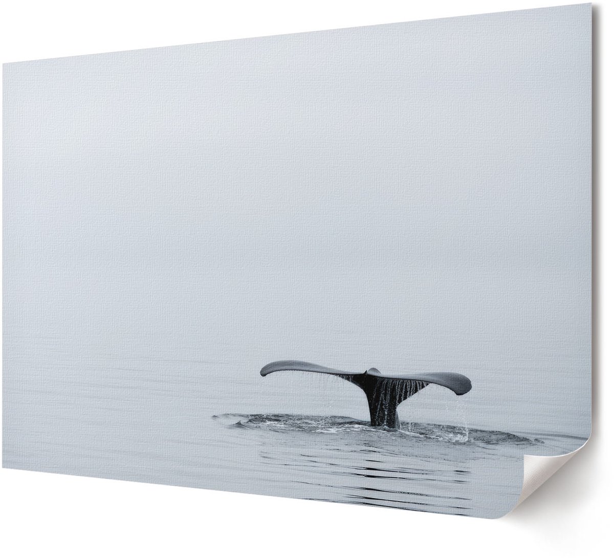 Coloray Polycanvas Wandposter - Zeegezicht, Blauw - A4 - Grijs Design - Rechthoek - Canvasposter - Woonkamer - Klassiek